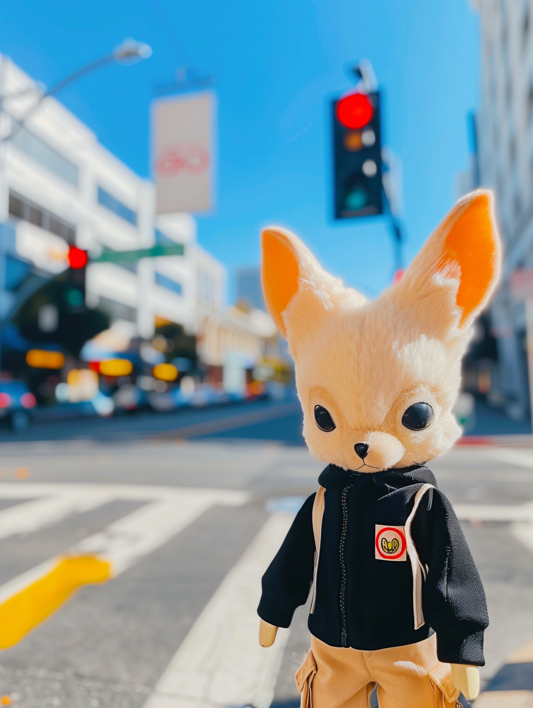 Urban Fox